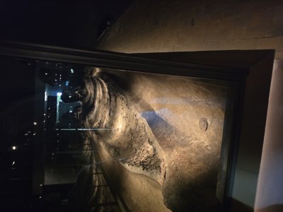 20260715 111911